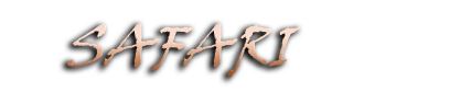 safari